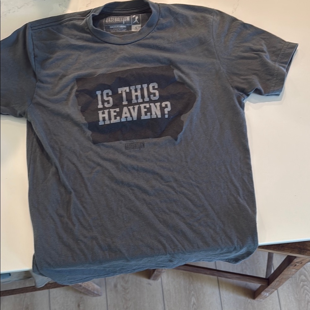 Men’s Gray Graphic Tee - "Is This Heaven?"